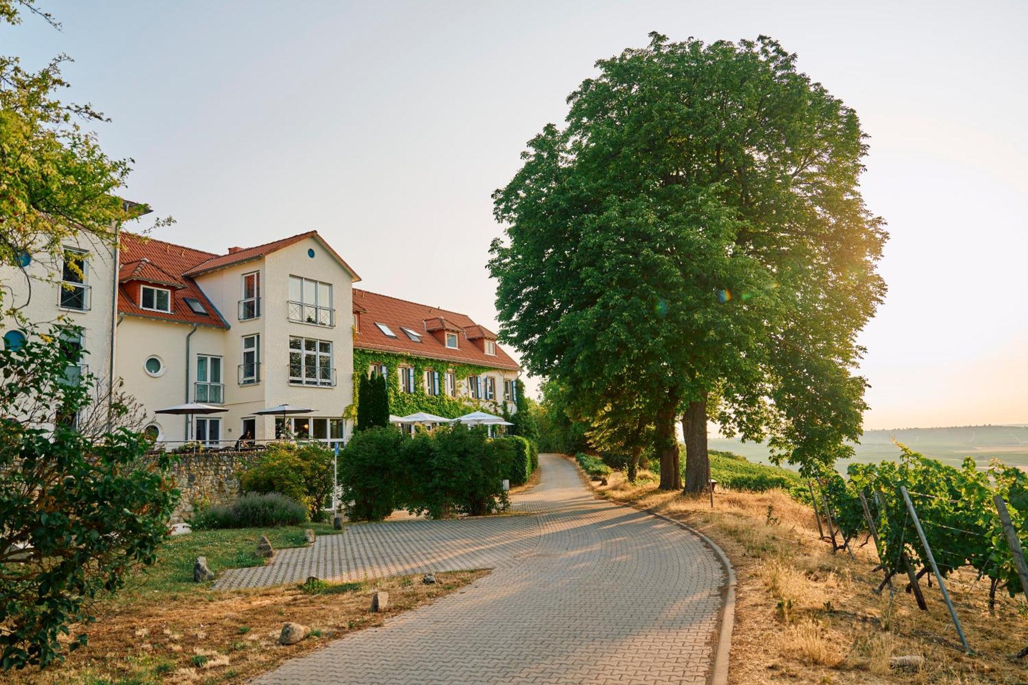 Hofgut Wissberg - Das Weinberghotel Санкт-Йохан Экстерьер фото
